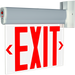 RAB Edgelit NYC Compliant Exit 1-Face Emergency Red Letters Clear Panel Silver Housing (ELXNYC)
