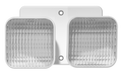 RAB Indoor Remote Heads 2-Head Multi-Vol Self-Test High Lumen (EREMOTE-HS)