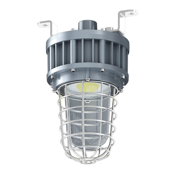 ESL Vision LED Hazardous Location Jelly Jar 30W 3900Lm 5000K 100-277V Input 120 Degree Beam Angle Grey Finish  (ESL-HZJJ-30W-150-120D)