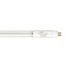 Euri Lighting 4 Foot T5 Omnidirectional Hybrid Type A And B LED Lamp Non-Dimmable 24W AC100-277V 3200Lm 5000K Value Pack Of 25 (ET5-2150H)