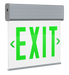 RAB Edgelit Exit 1-Face Green Letter Clear Panel Aluminum Housing (EXITEDGE-1G)