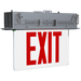 RAB LED Recessed Edge-Lit Exit Sign Single-Face No Arrows Red Letters Clear Panel New York Battery Backup Aluminum Housing (EXITEDGE-RE-1NY/E)