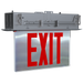 RAB LED Recessed Edge-Lit Exit Sign Double-Face Red Letters Mirror Panel Aluminum Housing (EXITEDGE-RE-MP)