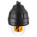 Federal Signal Rotating LED CID1 120VAC Modular Mount Amber (121X-120A-MOD)