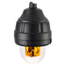 Federal Signal Rotating Light Explosion-Proof UL And cUL CID1 24VDC Amber Mount Sold Separately (121X-024A-MOD)