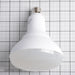 Feit Electric BR40 65W Equivalent Dimmable LED 5000K Bulb 2-Pack (BR40DM/850/10KLED/2)