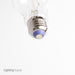 Feit Electric Filament Colored LED 3.6W Medium Base A19 Transparent Blue Bulb (A19/TB/LED)