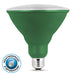 Feit Electric LED Green Color PAR38 Reflector Bulb (PAR38/G/10KLED)