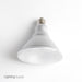 Feit Electric LED PAR38 90 Equivalent 1000Lm Dimmable 5000K CEC Compliant Bulb (PAR38DM/950CA)