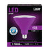 Feit Electric Purple PAR38 Non-Dimmable LED Reflector Light Bulb (PAR38/P/10KLED/BX)