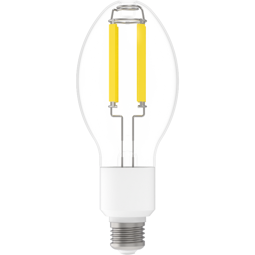 RAB LED Glass Filament HID ED23.5 Lamp 20W 5000K E26 Base 80 CRI (FHID-20-E26-850)