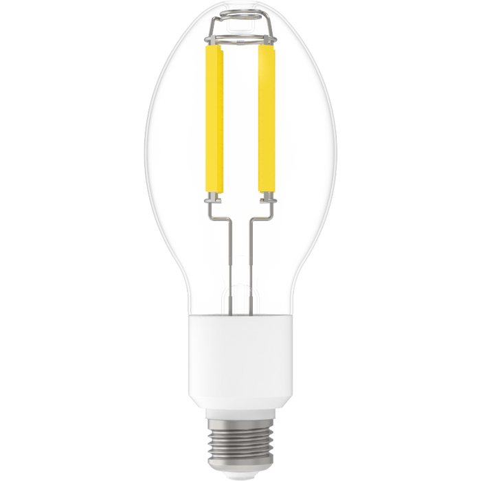 RAB LED Glass Filament HID ED23.5 Lamp 20W 5000K E26 Base 80 CRI (FHID-20-E26-850)
