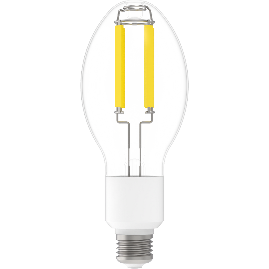 RAB FHID-20-E26-850 LED Glass Filament HID ED23.5 Lamp 20W E26 Base ...