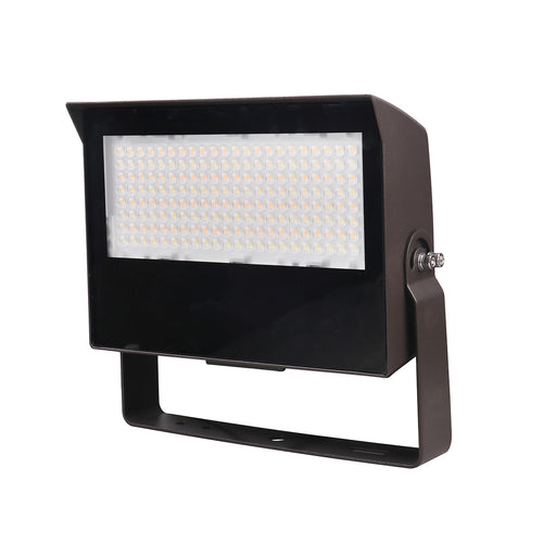 Trace-Lite Universal Switchable Floodlight