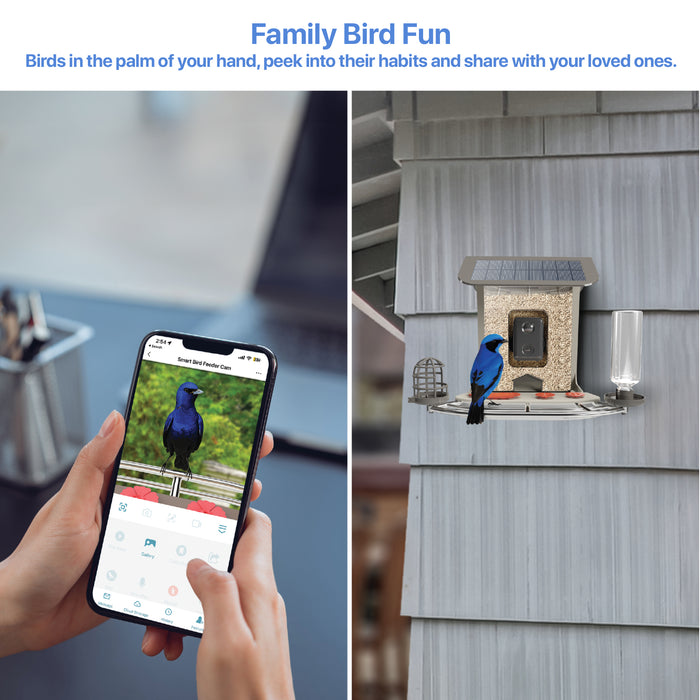 Feit Electric 2.5L Smart Solar Camera Bird Feeder (CAM/BIRD/WIFI)