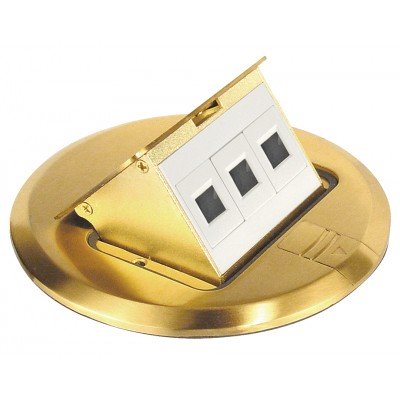 Southwire Garvin Brass Floor Box Kit With Data Ports (FBCVBR-3D-KIT)