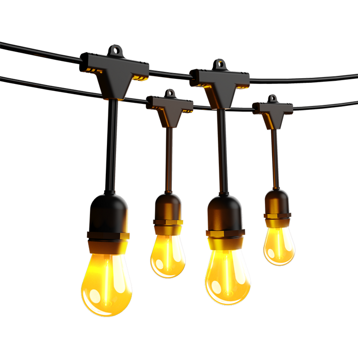 RAB 50 Foot Decorative String Light With [24] S14 Filament Bulbs 24W 2200K 120V (GLW)