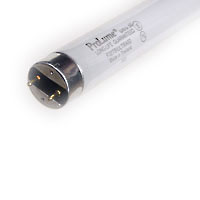 Halco F28T8/841/ECO 28 48 Inch Fluorescent T8 4100K 2660Lm 86 CRI Medium Bi-Pin G13 Base Tube (109366)