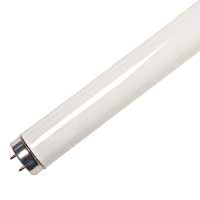 Halco F14T8CW 14 15 Inch Fluorescent T8 4100K 585Lm 65 CRI Medium Bi-Pin Base Tube (109370)