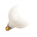 Halco G16WH15 15W Incandescent G16 130V Candelabra E12 Base Dimmable White Bulb (4015)