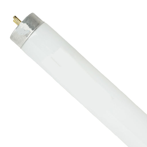 Halco F32T8/835/ECO/CS 32 48 Inch Fluorescent T8 3500K 2900Lm 86 CRI Medium Bi-Pin G13 Base Dimmable Tube (90094)