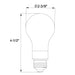 Halco 9A19-CL-FLED4-9CS-E26-D LED Filament A19 Lamp E26 Base CCT Selectable 2700K/3000K/3500K/4000K/5000K 8.8W 800Lm Clear 90 CRI 120V Dimmable (82533)