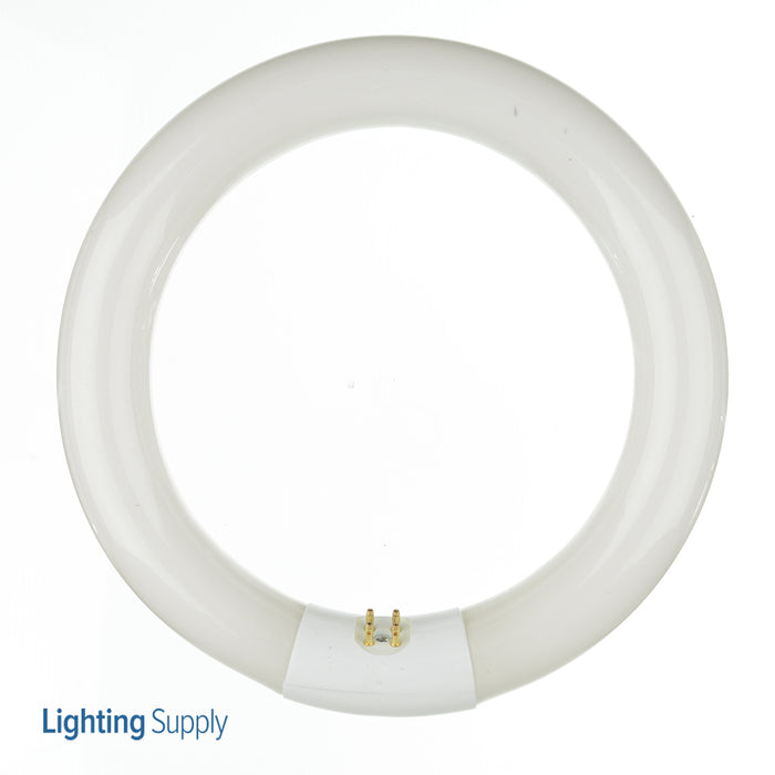 Halco FC8T9CW 22W FC8 T9 8 Inch Circline Cool White 6500K (37501)