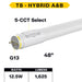 Halco CCT Selectable T8 LED Type A/B Tube