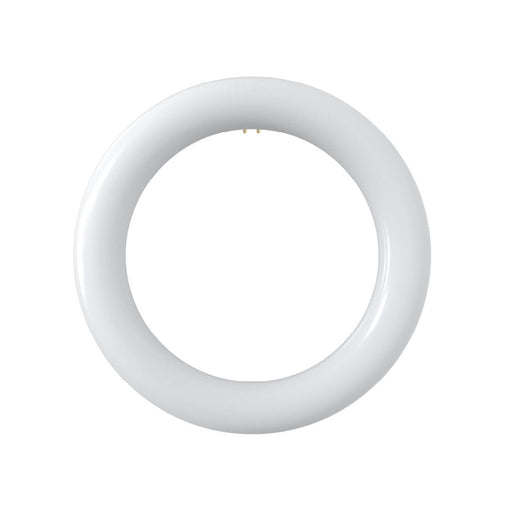 Halco T9C8-8CS-HYB-LED LED Circline 8 Inch T9 G10Q Base 11W Hybrid Type A/B CCT Selectable 3500K/4000K/5000K/6500K 1400Lm 120-277V Non-Dimmable (87506)