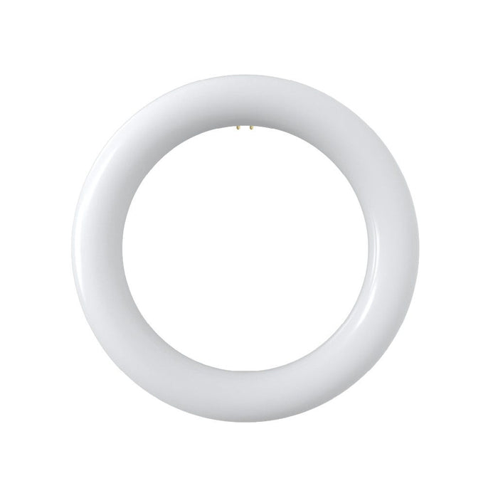 Halco T9C8-8CS-HYB-LED LED Circline 8 Inch T9 G10Q Base 11W Hybrid Type A/B CCT Selectable 3500K/4000K/5000K/6500K 1400Lm 120-277V Non-Dimmable (87506)
