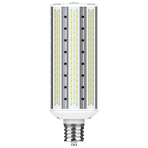 RAB Horizontal Lamp Field Adjustable CCT HID Wall Pack 80 CRI Type B 20W/40W/60W 3000/4000/5000K EX39 Base (HIDFA-60S-H-EX39-8CCT-BYP)