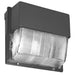 Lithonia LED Wall Luminaire 10 LEDs/One Engine 1000mA 5000K Type 3 120-277V Dark Bronze (TWH LED 10C 50K)