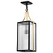 SATCO/NUVO Holden Hanging Pendant Gold And Black Finish Clear Glass (60-8505)