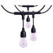 SATCO/NUVO 48 Foot Smart LED String Light With Starfish Technology [15] S14 Lamps RGBTW 120V Dimmable Black Wire (S11191)