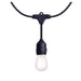 SATCO/NUVO 24 Foot LED String Light [12] S14 Lamps 2700K 120V Non-Dimmable Black Wire (S8020R1)
