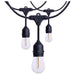 SATCO/NUVO 60 Foot LED String Light [24] S14 Lamps 2200K 120V Non-Dimmable Black Wire (S8032R1)