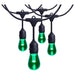 SATCO/NUVO 24 Foot LED String Light [12] S14 Lamps RGBTW 120V Dimmable Black Wire Infrared Remote (S8031R1)