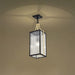SATCO/NUVO Holden Hanging Pendant Gold And Black Finish Clear Glass (60-8505)
