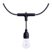 SATCO/NUVO 24 Foot Smart LED String Light With Starfish Technology [12] S14 Lamps RGBTW 120V Dimmable Black Wire (S11190)