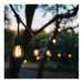 SATCO/NUVO 60 Foot LED String Light [24] S14 Lamps 2200K 120V Non-Dimmable Black Wire (S8032R1)