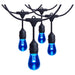SATCO/NUVO 24 Foot LED String Light [12] S14 Lamps RGBTW 120V Dimmable Black Wire Infrared Remote (S8031R1)
