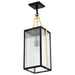 SATCO/NUVO Holden Hanging Pendant Gold And Black Finish Clear Glass (60-8505)