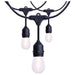 SATCO/NUVO 60 Foot LED String Light [24] S14 Lamps 2200K 120V Non-Dimmable Black Wire (S8032R1)