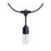 SATCO/NUVO 60 Foot LED String Light [24] S14 Lamps 2200K 120V Non-Dimmable Black Wire (S8032R1)