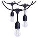 SATCO/NUVO 24 Foot LED String Light [12] S14 Lamps 2700K 120V Non-Dimmable Black Wire (S8020R1)