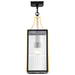SATCO/NUVO Holden Hanging Pendant Gold And Black Finish Clear Glass (60-8505)