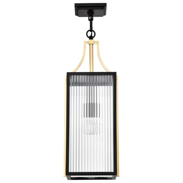 SATCO/NUVO Holden Hanging Pendant Gold And Black Finish Clear Glass (60-8505)