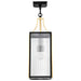 SATCO/NUVO Holden Hanging Pendant Gold And Black Finish Clear Glass (60-8505)