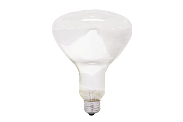 GE 37770 250R40/1 6PK 120 Incandescent R40 Heat Lamp 250W 2200Lm 120V ...