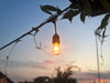 Feit Electric 30-Foot LED S14 Amber String Lights (SL30-15/FIL)